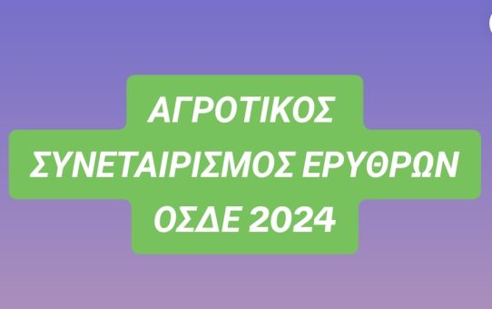 Εγκύκλιος υποβολής ΕΑΕ 2024