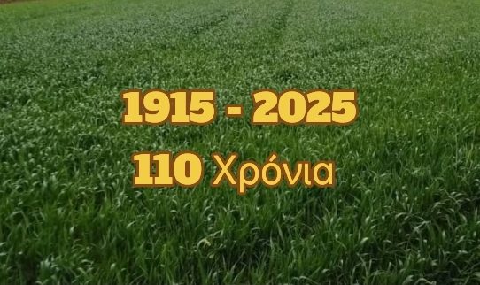 1915 - 2025 : 110 Χρόνια ιστορίας